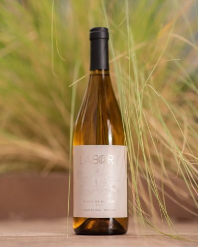 botella_lager_sq